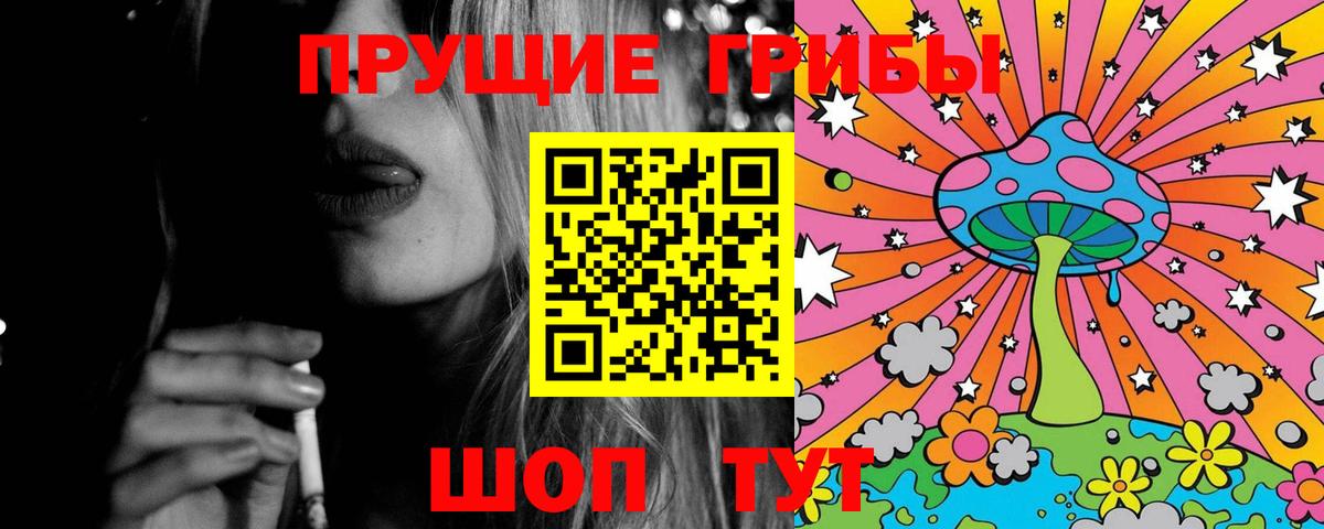Майкоп  Псилоцибиновые грибы Cubensis  Вход с VPN 